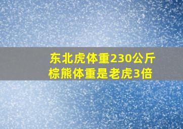 东北虎体重230公斤 棕熊体重是老虎3倍